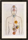 The Seven Chakras and the Streams of Vitality Framed Giclee Print by C.w. Leadbeater