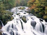Swallow Falls, Betws-Y-Coed, Gwynedd, Wales Photographic Print by Nigel Francis