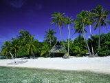 Beach and Palm Trees, Tahiti, Society Islands, French Polynesia, South Pacific Islands, Pacific Photographic Print by Sylvain Grandadam