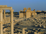 Palmyra, Ruins of Roman City, Syria, Middle East Photographic Print by Sylvain Grandadam
