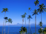 Palm Trees and Island, Tahiti, Society Islands, French Polynesia, South Pacific Islands, Pacific Photographic Print by Sylvain Grandadam