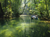 Longboats Moored in Creek Amid Rain Forest, Island of Borneo, Malaysia Photographic Print by Richard Ashworth