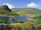 Ring of Kerry, Between Upper Lake and Muckross Lake, Killarney, Munster, Republic of Ireland (Eire) Photographic Print by Roy Rainford