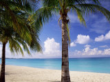 Palm Trees, Beach and Still Turquoise Sea, Seven Mile Beach, Cayman Islands, West Indies Photographic Print by Ruth Tomlinson