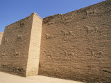 Holy Bull, Babylon, Iraq, Middle East Photographic Print by Nico Tondini
