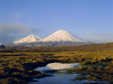 Volcan Parinacota and Volcan Pomerape, Lauca National Park, Chile, South America Photographic Print by Rob Mcleod