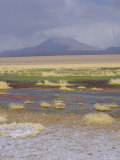River Putana, Futuro National Park, San Pedro De Atacama, Chile Photographic Print by Rob Mcleod