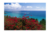 Frenchmans Bay Panorama St Thomas USVI Photographic Print by George Oze