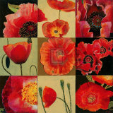 Mirrored Blossoms II  Art by John Douglas
