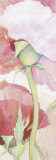 Vertical Roses III Posters par Katharina Reichert