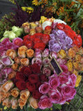 Colorful Rose Flowers for Sale on Street, Paris, France Photographic Print by Brimberg & Coulson 