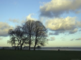 Buildings and Trees at Lakeside, Copenhagen, Denmark Photographic Print by Brimberg & Coulson 