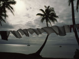 Buca Bay, Laundry and Palm Trees Photographic Print by James L. Stanfield