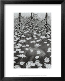 Trois Mondes Posters par M. C. Escher