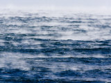 Scenic View of Sea Smoke, Created by High, Cold Winds, Massachusetts Photographic Print by Tim Laman