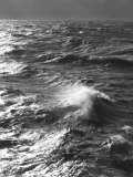 Storm Waves, South Ocean, Drakes Passage, Antarctica Photographic Print by Ralph Lee Hopkins