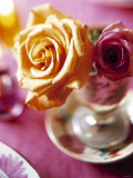 Yellow and Red Rose in a Glass as Table Decoration Photographic Print by Alexander Van Berge