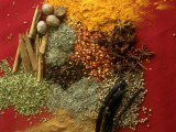 Still Life with Spices Photographic Print by David Loftus