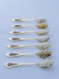 Various Types of Rice on Asian Spoons Photographic Print by Alexander Van Berge