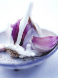 Garlic Bulb, Broken Open, in a Bowl Photographic Print by David Loftus