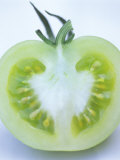 Half a Green Tomato Photographic Print by David Loftus