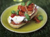Bruschetta with Cherry Tomatoes and Mozzarella in a Meadow Photographic Print by David Loftus