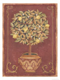 Lemon Tree Giclee Print by Tina Chaden