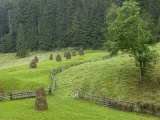 Haystacks, Bucovina, Romania Photographic Print by Russell Young