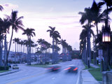 Royal Poinciana Way, Palm Beach, Florida, USA Photographic Print by John Coletti