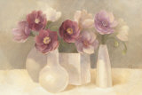Anemones in Plum  Prints by Albena Hristova