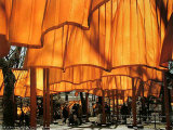 The Gates, no. 31 Poster von Christo 
