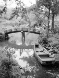 Shukkei-En Garden Detail, Japan Photographic Print by Walter Bibikow