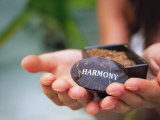 Herbal Extract Used for Oriental Massage Photographic Print by Angelo Cavalli