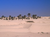 Great Dune on the Sahara, Douz, Tunisia Photographic Print by Grayce Roessler