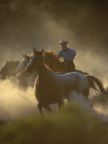 Cowgirl Rounding-Up Wild Horses, OR Photographic Print by B Gillingham