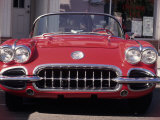 Vintage Chevrolet Corvette Fotografie-Druck von Reid Neubert