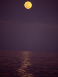 Moonrise, Cabo San Lucas, Baja California, Mexico Photographic Print by Yvette Cardozo