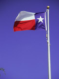 Texas State Flag Photographic Print by Chris Minerva