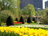 Public Gardens, Boston, MA Photographic Print by Kindra Clineff