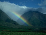 Rainbow Over Sugar Cane Fields, Maui, Hawaii Photographic Print by Mick Roessler