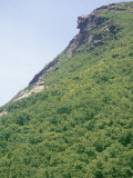 Old Man on the Mountain', Franconia Notch State Park, NH Photographic Print by Kindra Clineff
