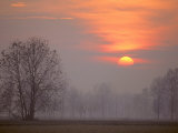 Padana Valley, Cremona, Italy Photographic Print by Alessandro Gandolfi