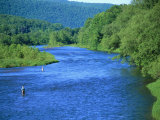 Fishs Eddy Stream, Man Fly Fishing Photographic Print by Barry Winiker