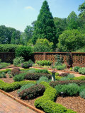 Atlanta Botanical Gardens, Atlanta, GA Photographic Print by Barry Winiker
