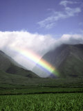 Rainbow in Sugar Cane Field Photographic Print by Mick Roessler