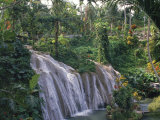 Waterfall, Ochos Rios, Jamaica Photographic Print by Mick Roessler