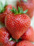 Strawberries, Photographic Print