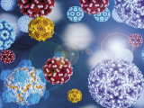 Cocktail of Human Disease Viruses Photographic Print by Jacob Halaska