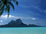 Palm Tree, Water and Island, Bora Bora, Tahiti Photographie par Barbara Haynor