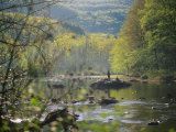 Father and Son Fly-Fishing, Deerfield River, MA Photographic Print by Kindra Clineff